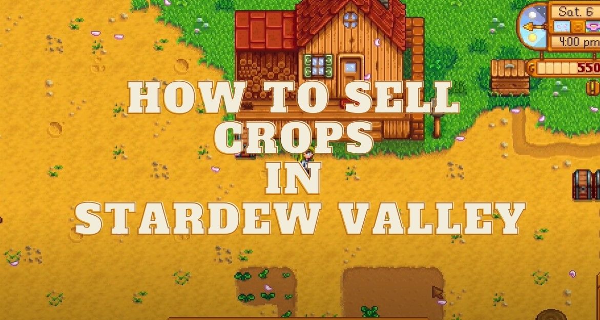 How to Sell Crops in Stardew Valley