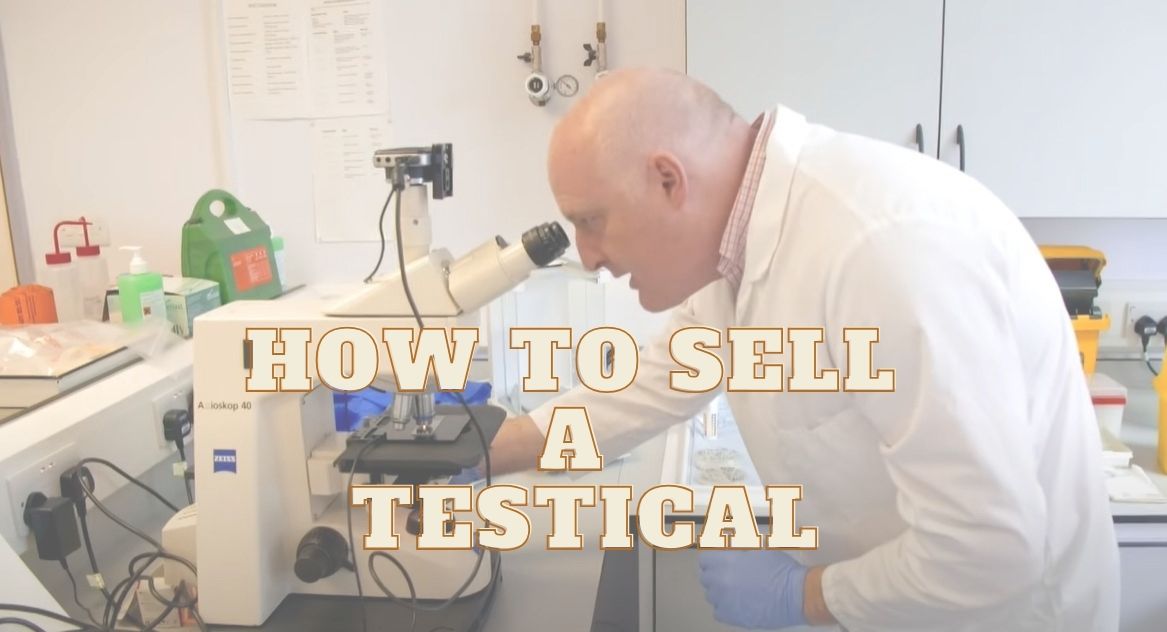 how to sell a testical