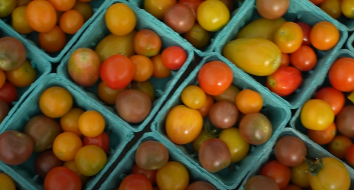 how to sell at a farmers market easily